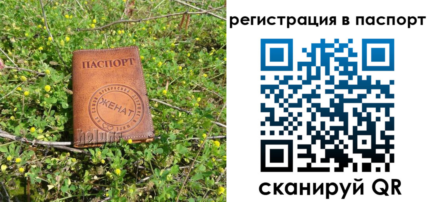 прописка для кредита в Луге